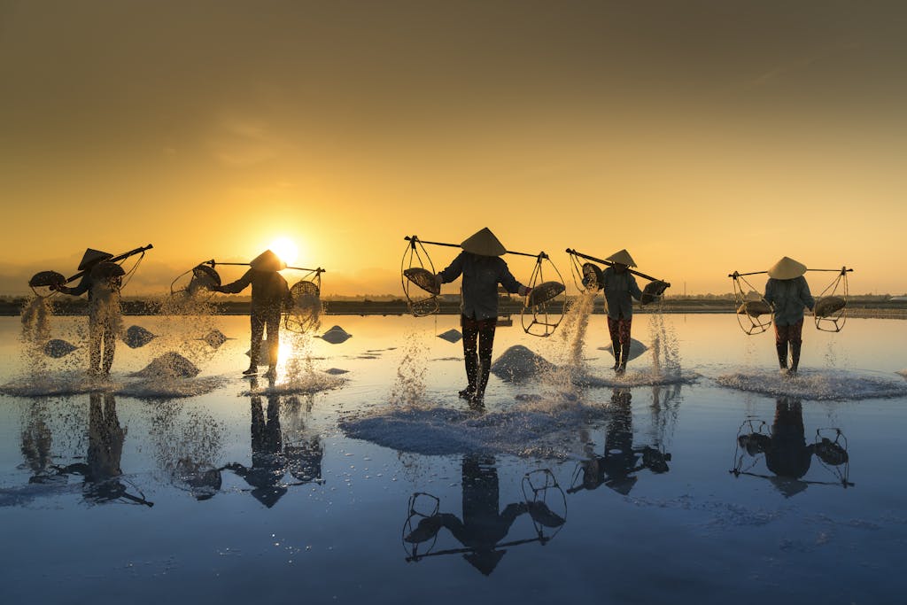 Silhouetted salt workers gather salt at sunset, casting reflections on the water.